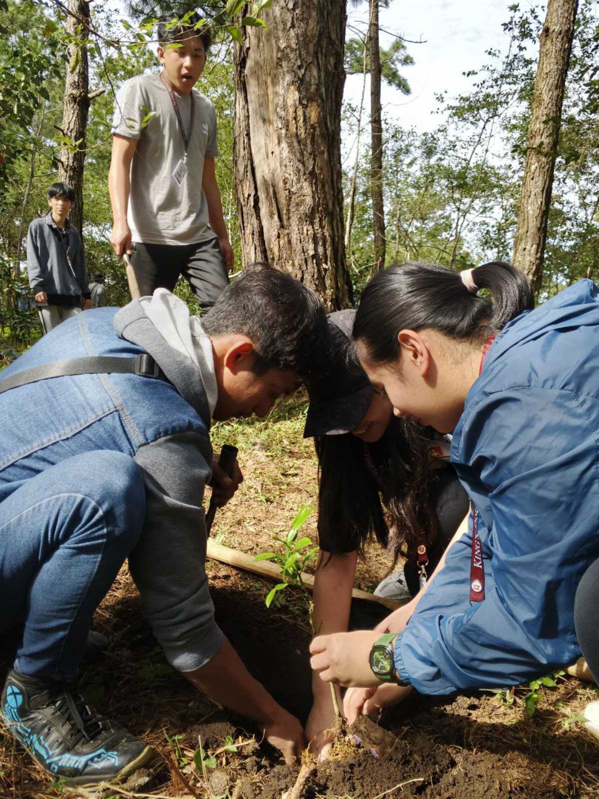 “Adapt-a-Forest” Project Unites Volunteers for Climate Action